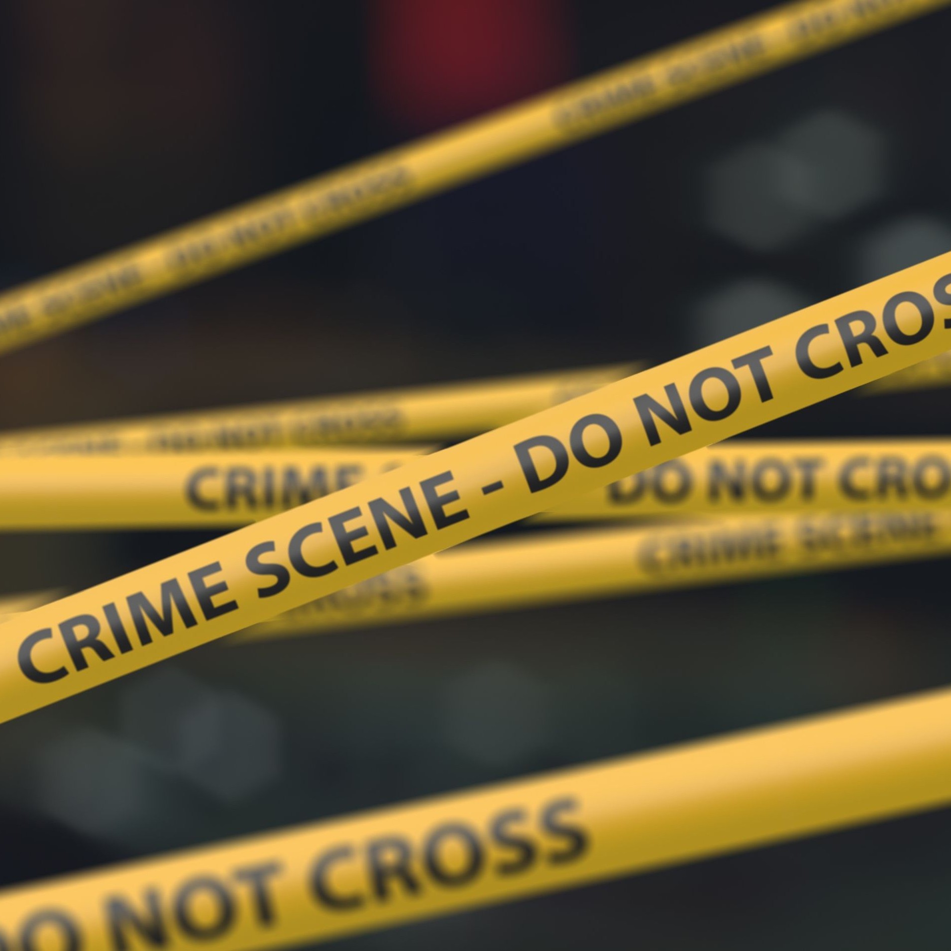 Case 4 – The Hacker of Greyford